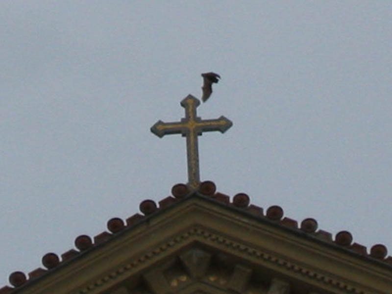 Picture 0457