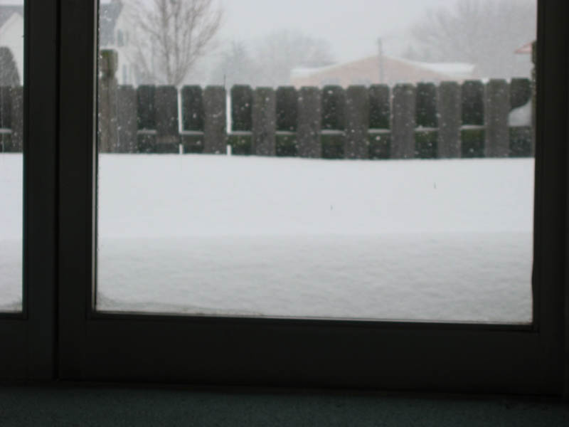 Picture 005