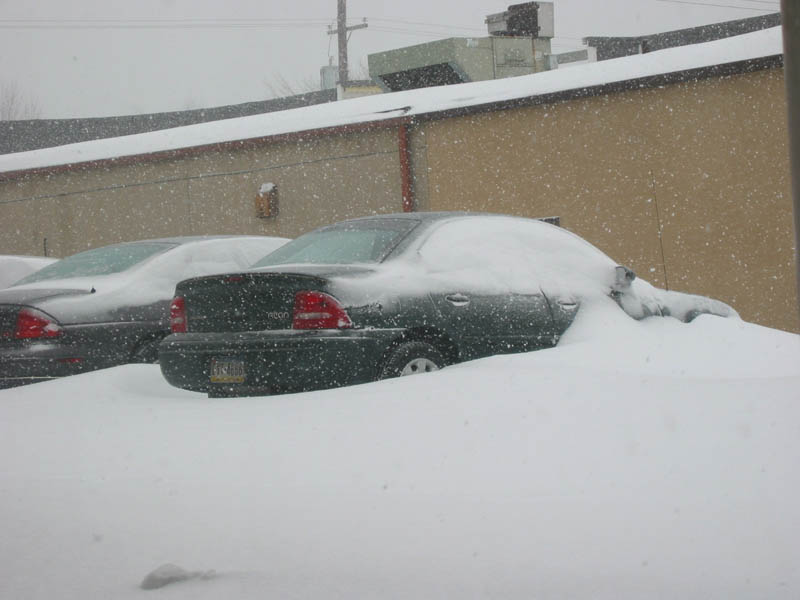 Picture 010