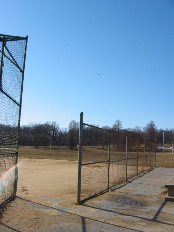 Picture 010