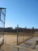 Picture 010