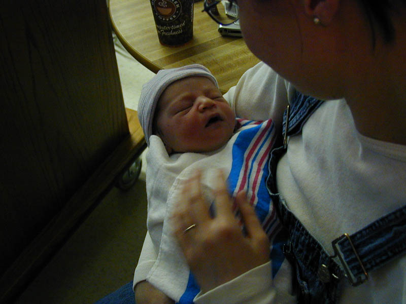Picture 063
