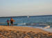 1146