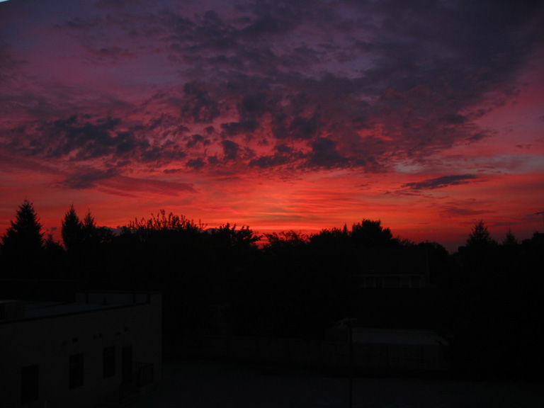 Picture 001