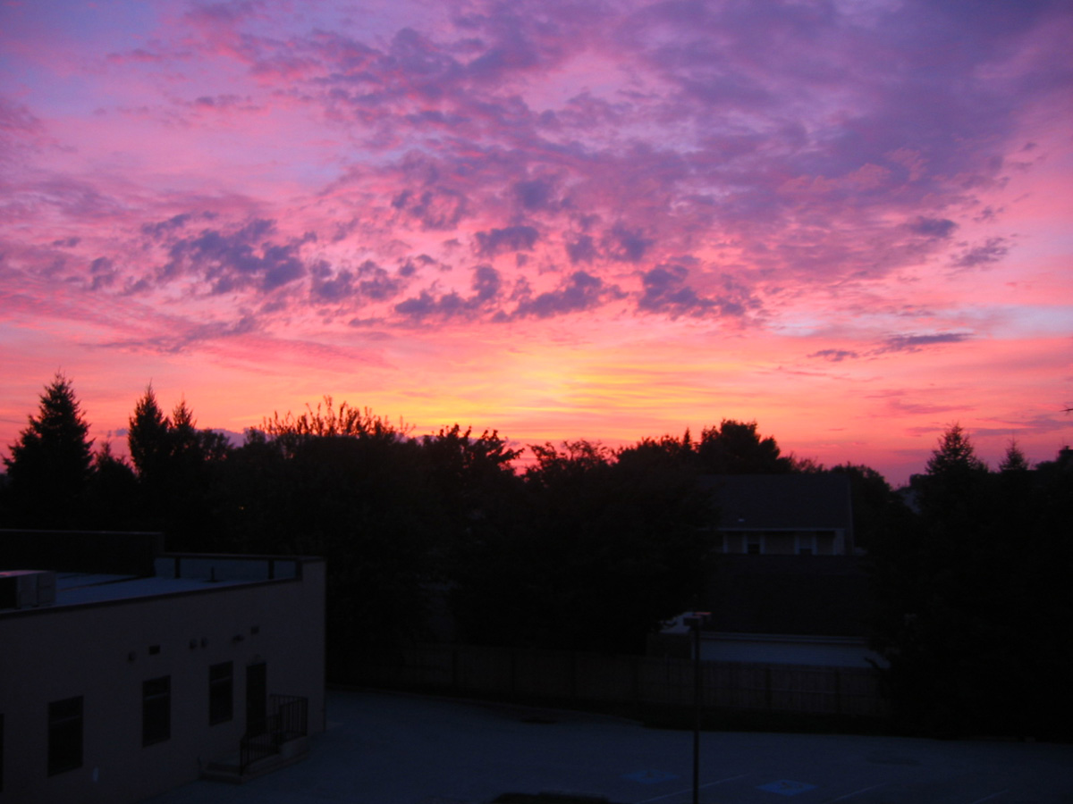 Picture 002