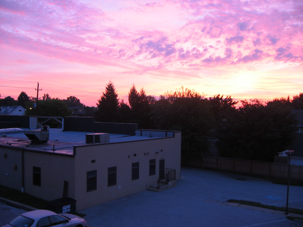 Picture 003