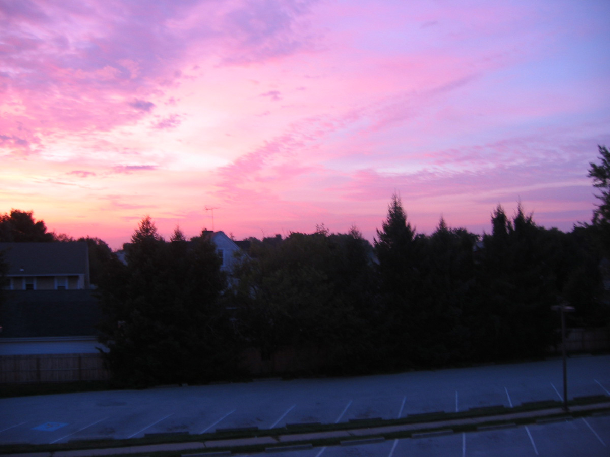 Picture 004
