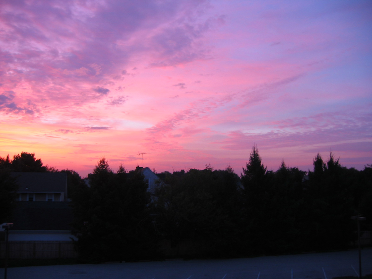 Picture 005