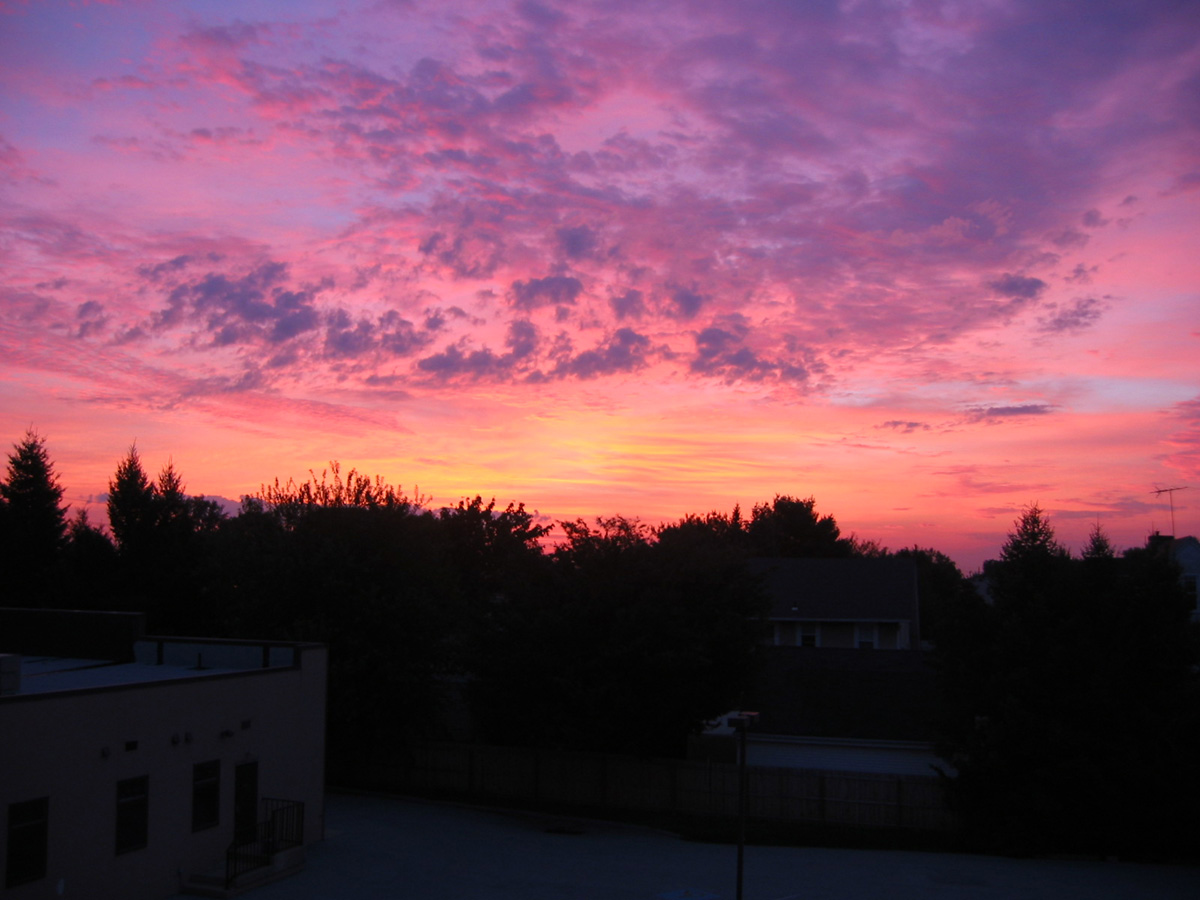 Picture 006