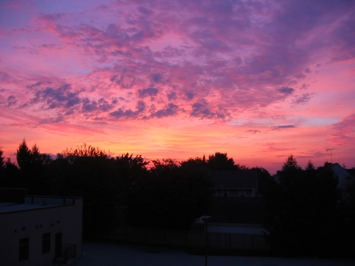 Picture 007