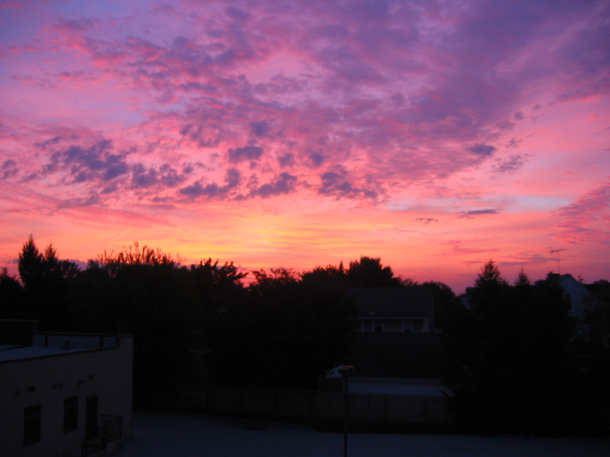 Picture 008