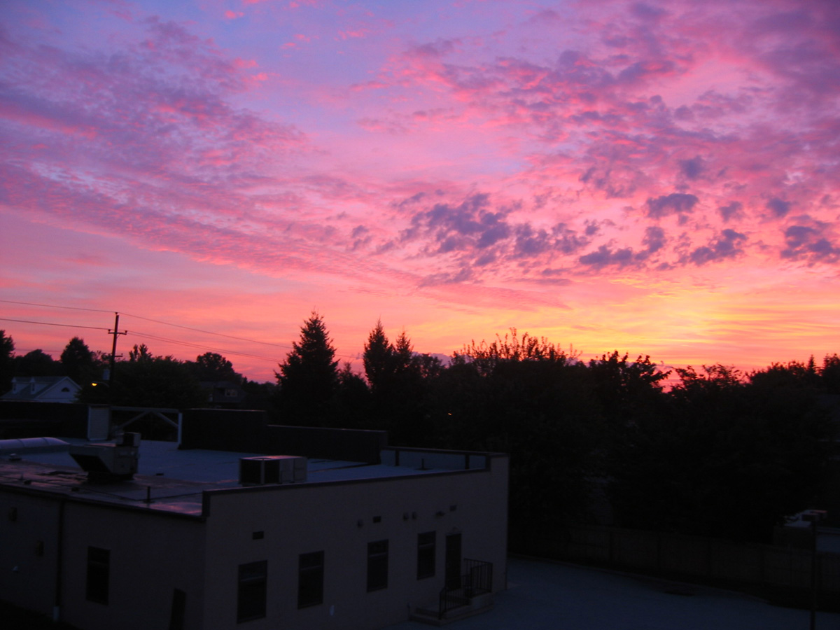 Picture 011