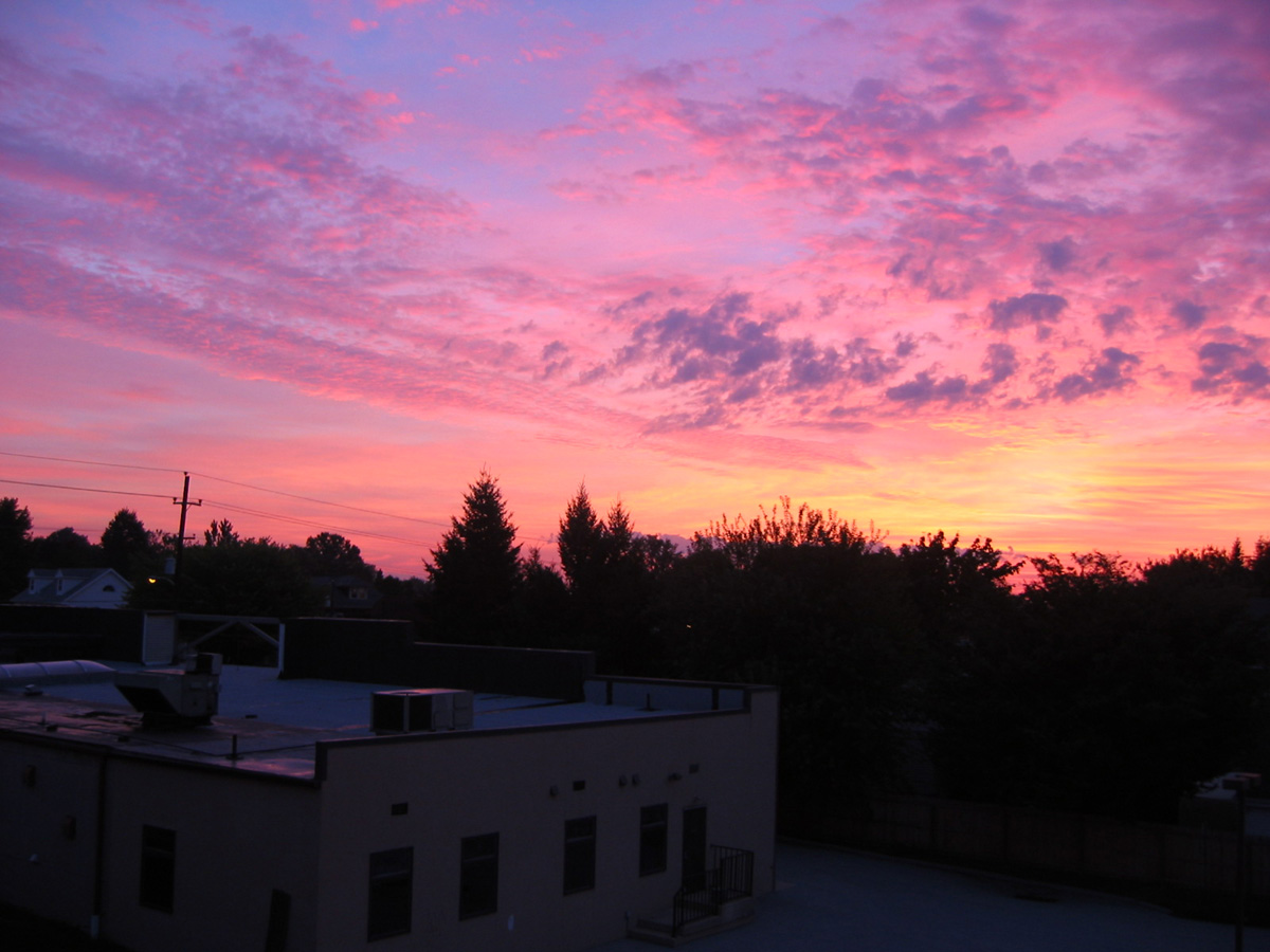 Picture 012