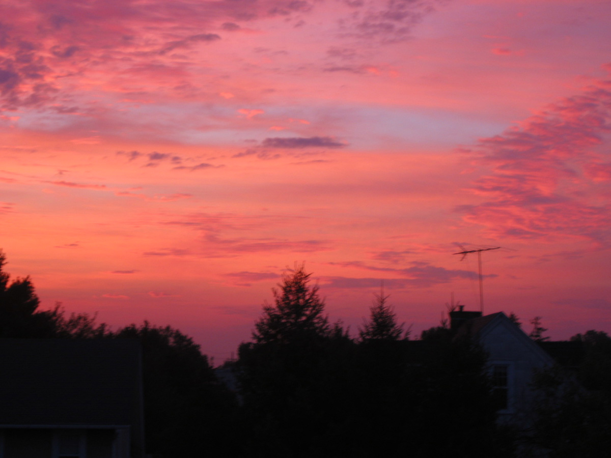 Picture 015