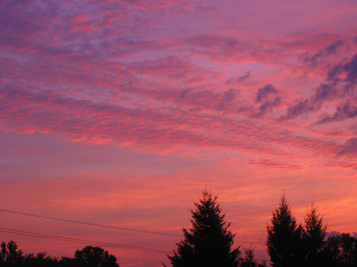 Picture 016