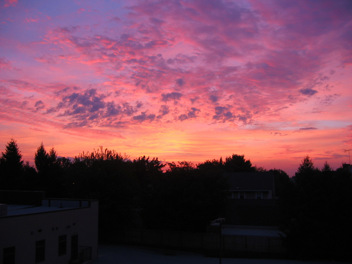 Picture 017