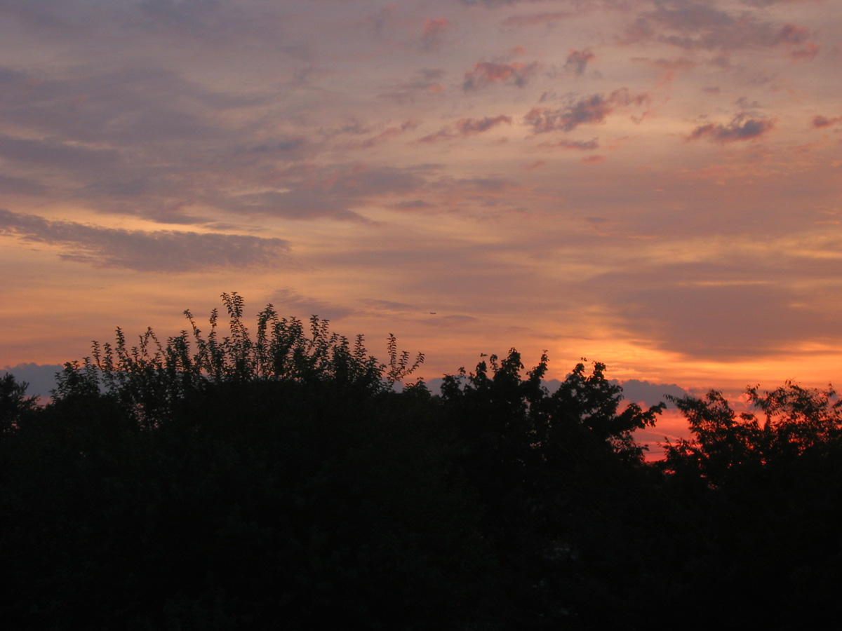 Picture 018