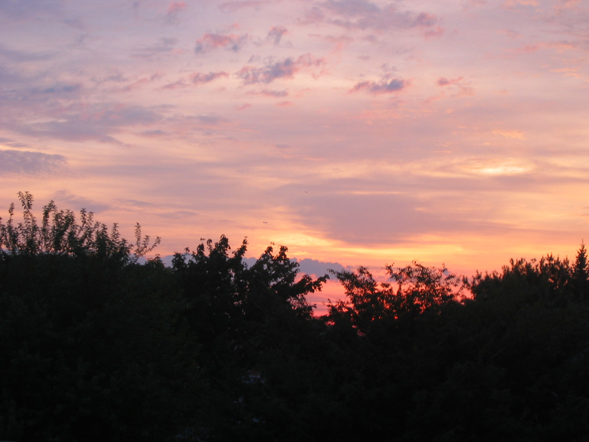Picture 019