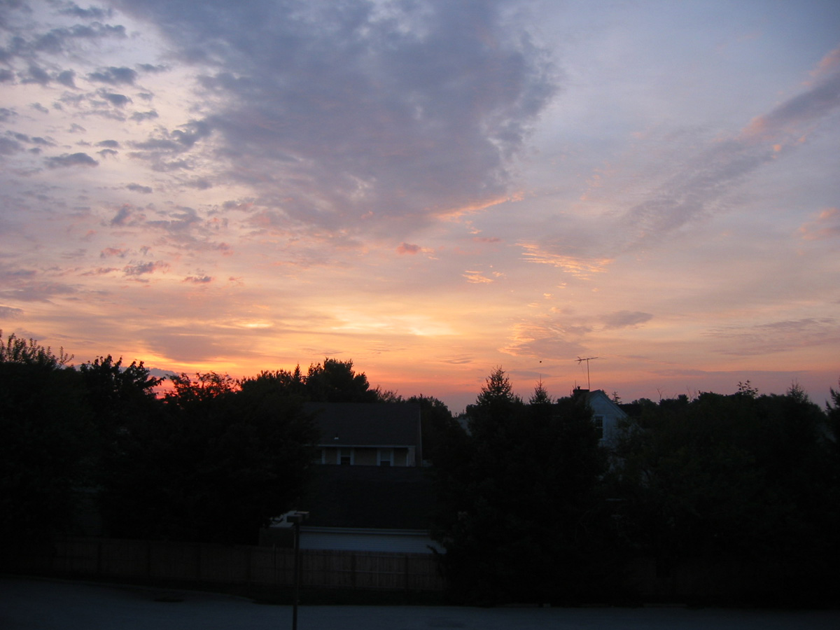 Picture 021