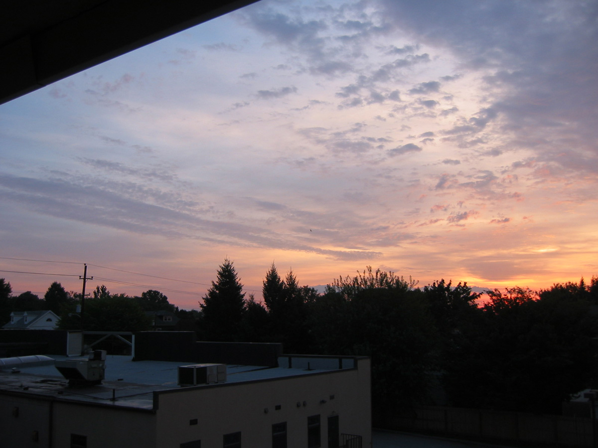 Picture 022