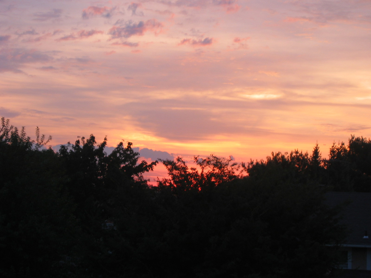Picture 023