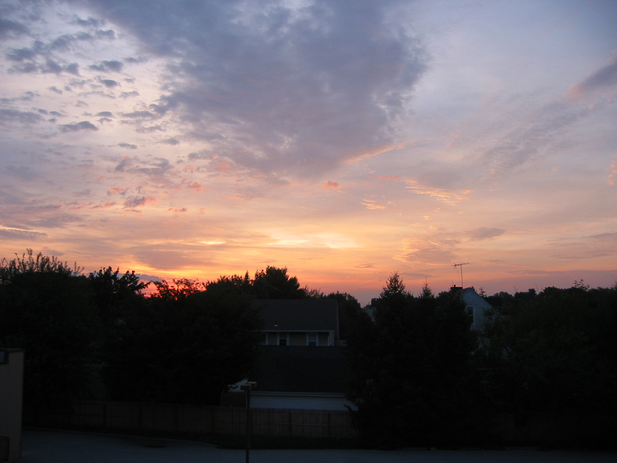 Picture 025