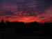 Picture 001