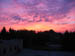 Picture 002
