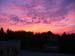 Picture 006