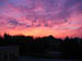 Picture 007