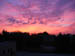 Picture 008