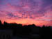 Picture 010