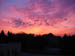 Picture 017