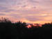 Picture 019
