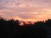 Picture 023